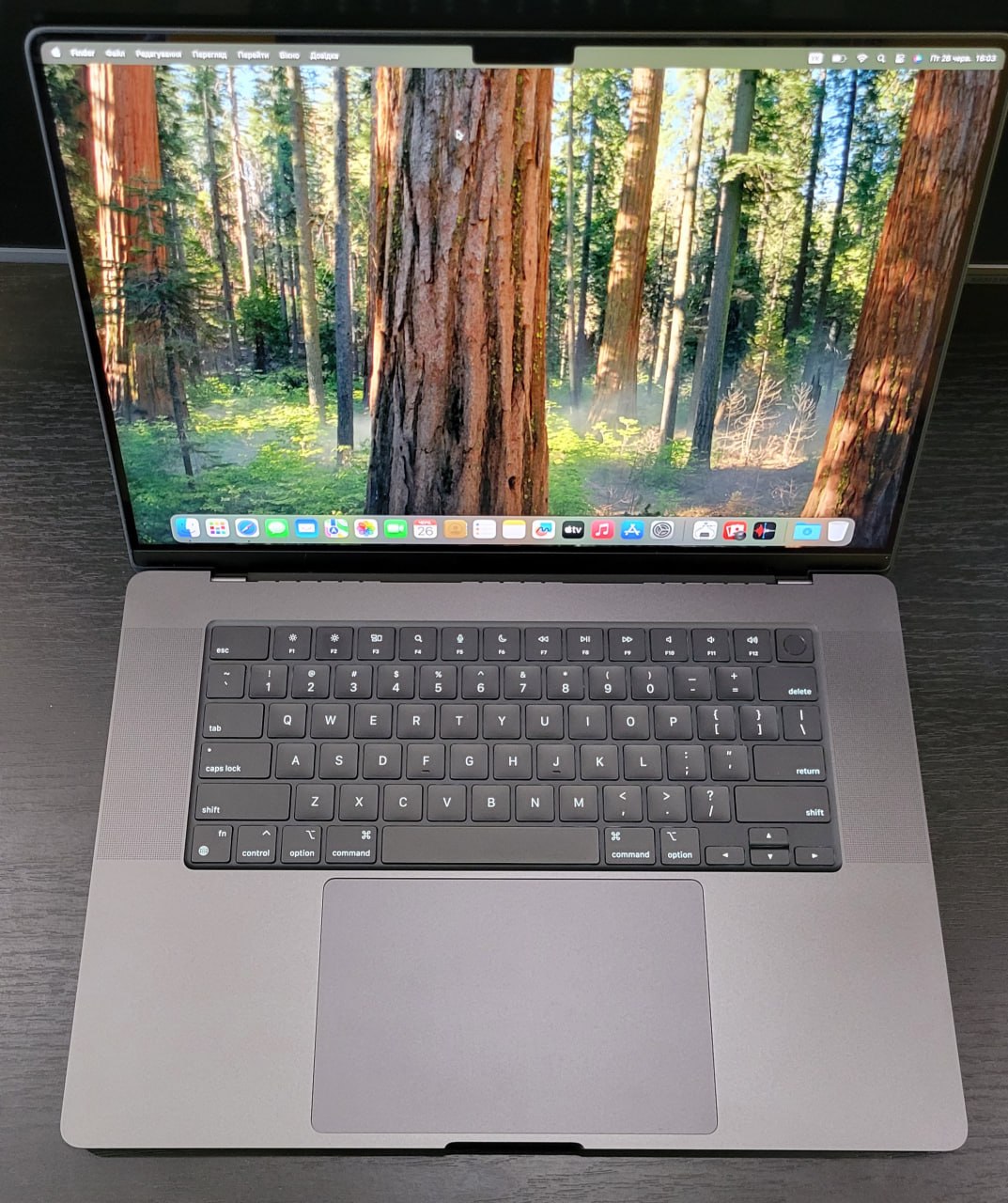 Apple MacBook Pro 16" (2023) M3 Pro 36/512GB